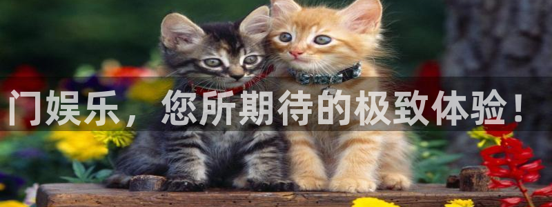 盛煌平台体育4：门娱乐，您所期待的极致体验！