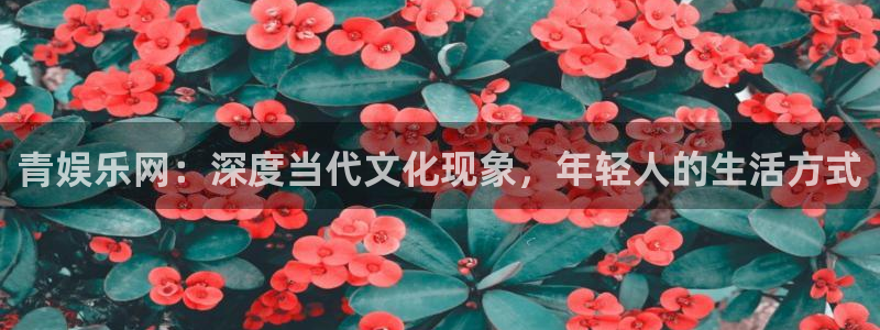 盛煌平台加拿大下载：青娱乐网：深度当代文化现象，年轻人的生活方式