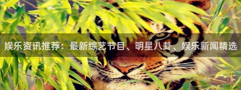 盛煌平台平台注册：娱乐资讯推荐：最新综艺节目、明星八卦、娱乐新闻精选
