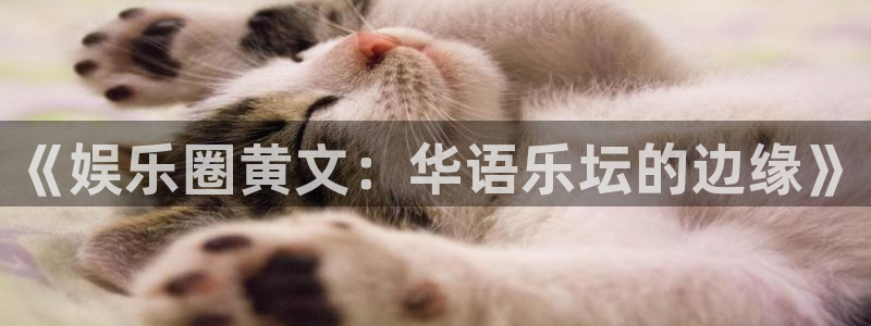 盛煌平台体育2：《娱乐圈黄文：华语乐坛的边缘》