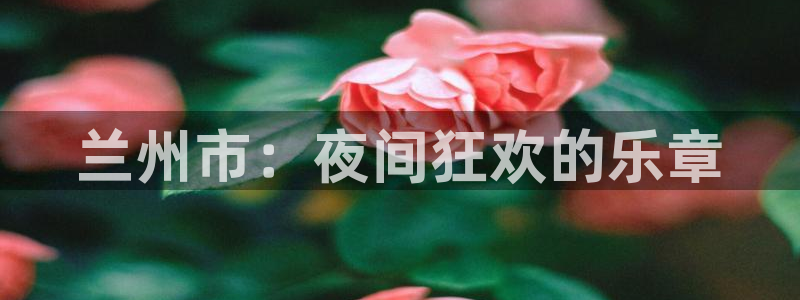 盛煌平台登录网：兰州市：夜间狂欢的乐章