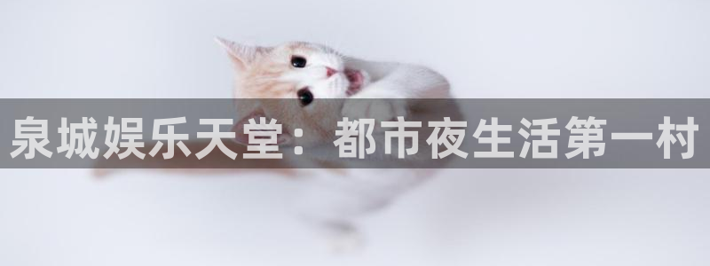 盛煌平台体育用品：泉城娱乐天堂：都市夜生活第一村