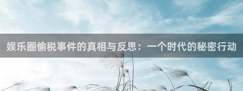 盛煌平台平台招商：娱乐圈偷税事件的真相与反思：一个时代的秘密行动