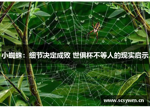 小蜘蛛：细节决定成败 世俱杯不等人的现实启示