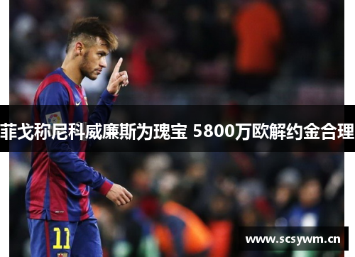 菲戈称尼科威廉斯为瑰宝 5800万欧解约金合理